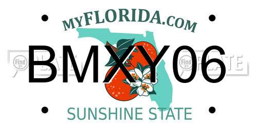 BMXY06 Florida License Plate