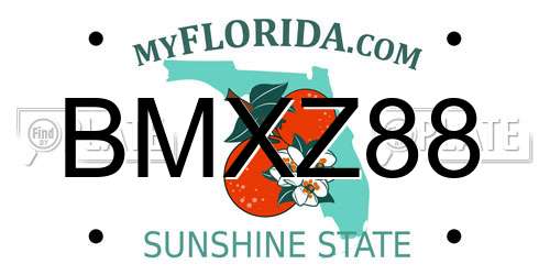 BMXZ88 Florida License Plate