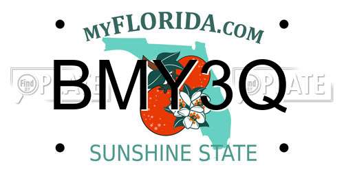BMY3Q Florida License Plate