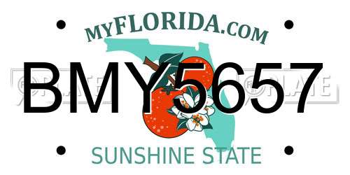 BMY5657 Florida License Plate