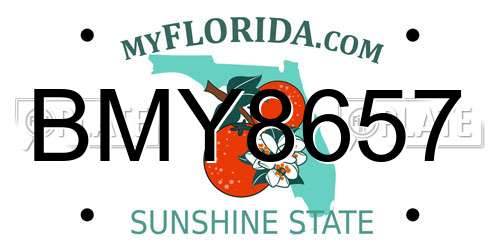 BMY8657 Florida License Plate
