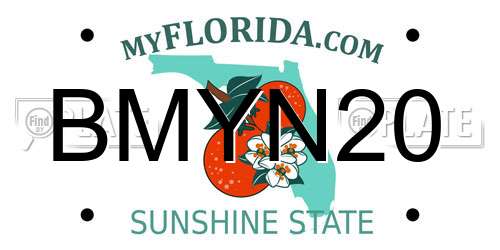 BMYN20 Florida License Plate