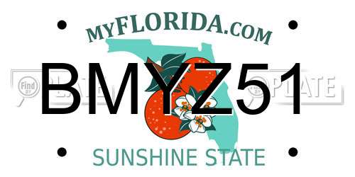 BMYZ51 Florida License Plate