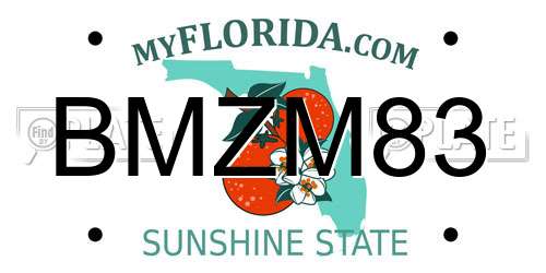 BMZM83 Florida License Plate