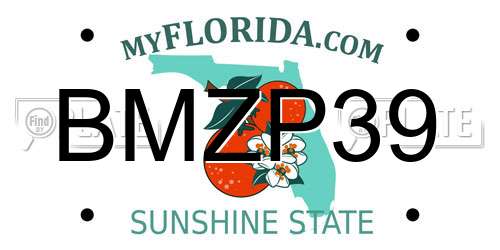 BMZP39 Florida License Plate