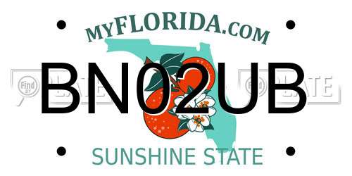 BN02UB Florida License Plate