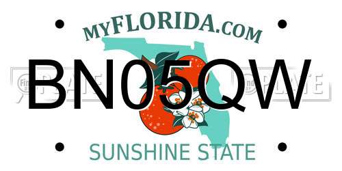 BN05QW Florida License Plate