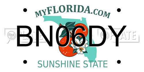 BN06DY Florida License Plate