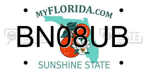 BN08UB Florida License Plate