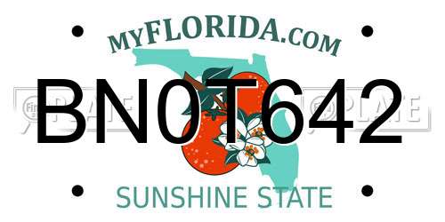 BN0T642 Florida License Plate