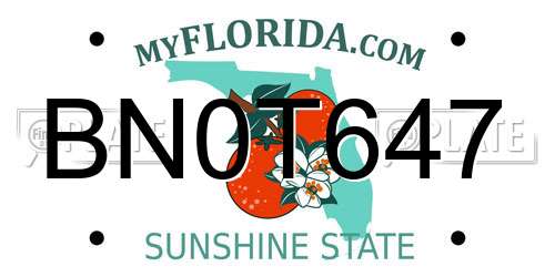 BN0T647 Florida License Plate