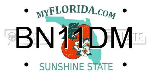 BN11DM Florida License Plate