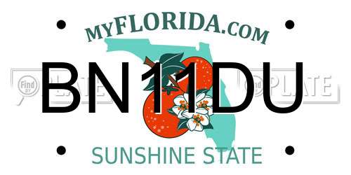 BN11DU Florida License Plate