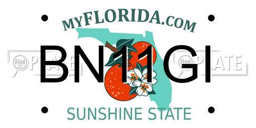 BN11GI Florida License Plate