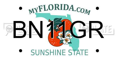 BN11GR Florida License Plate