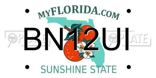 BN12UI Florida License Plate