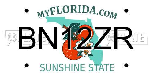 BN12ZR Florida License Plate