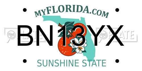 BN13YX Florida License Plate