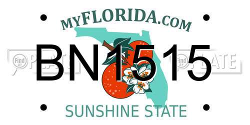BN1515 Florida License Plate