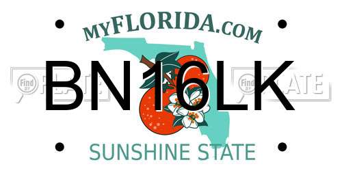 BN16LK Florida License Plate