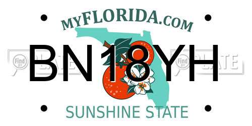 BN18YH Florida License Plate
