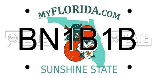 BN1B1B Florida License Plate