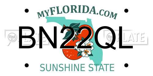BN22QL Florida License Plate