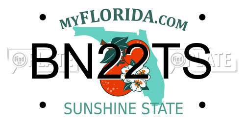 BN22TS Florida License Plate