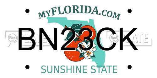 BN23CK Florida License Plate
