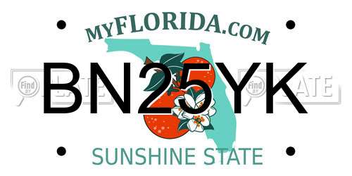 BN25YK Florida License Plate