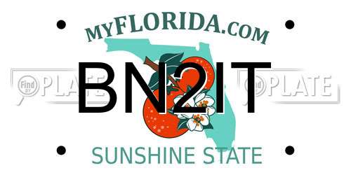 BN2IT Florida License Plate