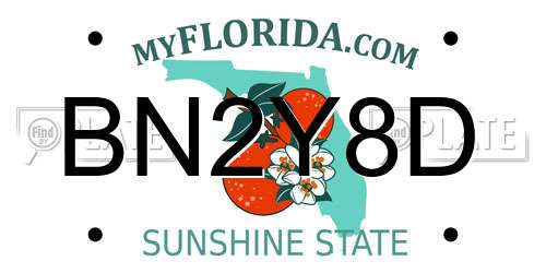 BN2Y8D Florida License Plate