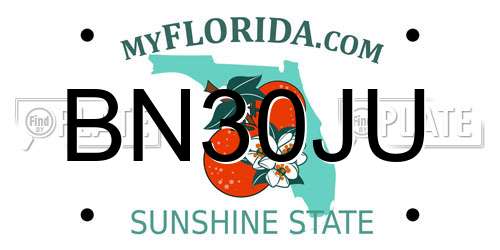 BN30JU Florida License Plate