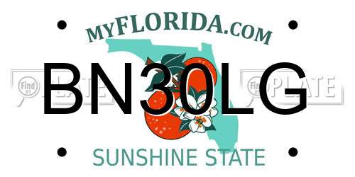 BN30LG Florida License Plate