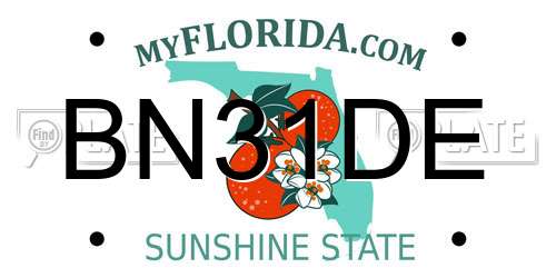 BN31DE Florida License Plate