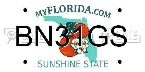 BN31GS Florida License Plate