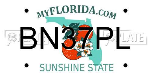 BN37PL Florida License Plate