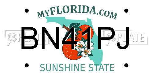 BN41PJ Florida License Plate