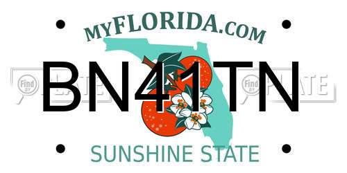 BN41TN Florida License Plate