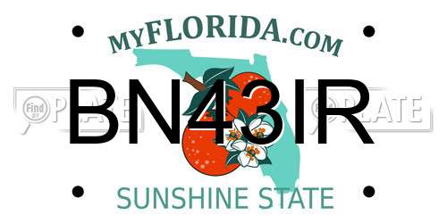 BN43IR Florida License Plate