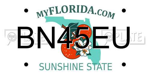 BN45EU Florida License Plate