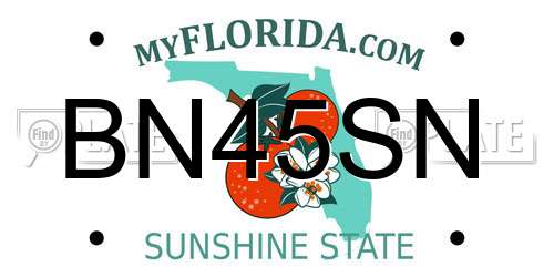 BN45SN Florida License Plate