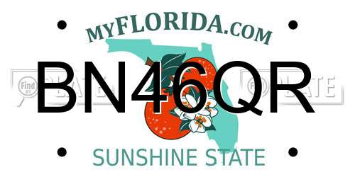 BN46QR Florida License Plate