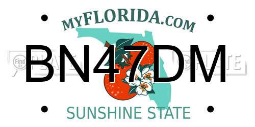 BN47DM Florida License Plate