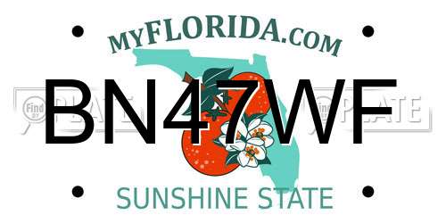 BN47WF Florida License Plate