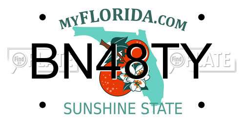 BN48TY Florida License Plate