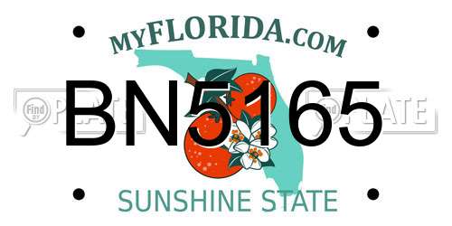 BN5165 Florida License Plate