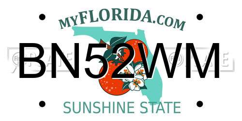 BN52WM Florida License Plate