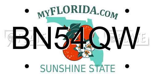 BN54QW Florida License Plate