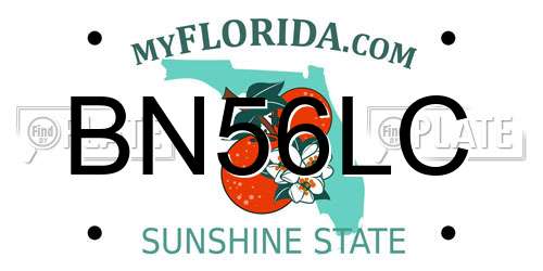 BN56LC Florida License Plate
